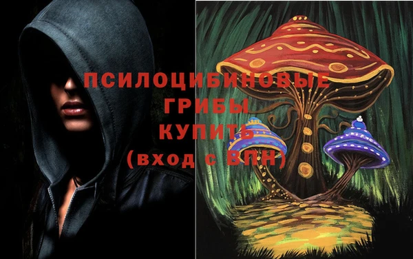 СК Россошь