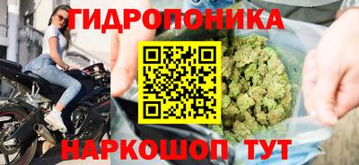 ALPHA PVP Гусев