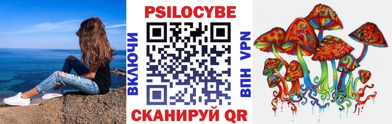 Псилоцибиновые грибы GOLDEN TEACHER  наркотики  мега tor  Сосновоборск 